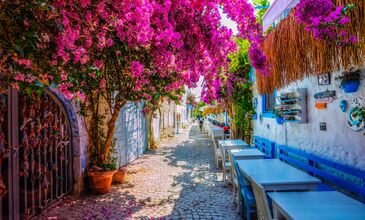 08 MART 2026 URLA - ÇEŞME –ALAÇATI -SIĞACIK TURU