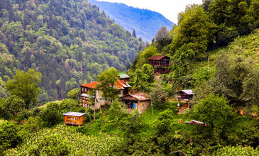 11-17 HAZİRAN 2026 BOYDAN BOYA BATI-DOĞU KARADENİZ TURU