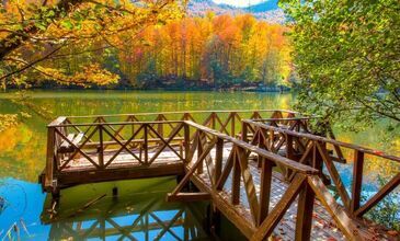 16-18 OCAK 2026 ABANT-GÖLCÜK-SAKARYA-ORMANYA-MAŞUKİYE-BURSA TURU