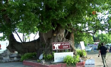 ULUDAĞ KAYAK MERKEZİ & GÖLYAZI TURU