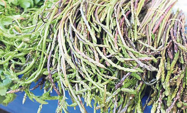 29 MART 2026 BODRUM ACI OT FESTİVALİ & SÖKE NOVADA  OUTTLET AWM  TURU