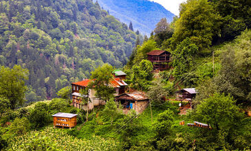 13-19 AĞUSTOS 2026 BOYDAN BOYA BATI-DOĞU KARADENİZ &BATUM TURU