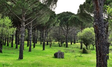 05-06 MAYIS 2026 BERGAMA ANTİK KENTİ-AŞIKLAR ŞELALESİ-KOZAK YAYLASI